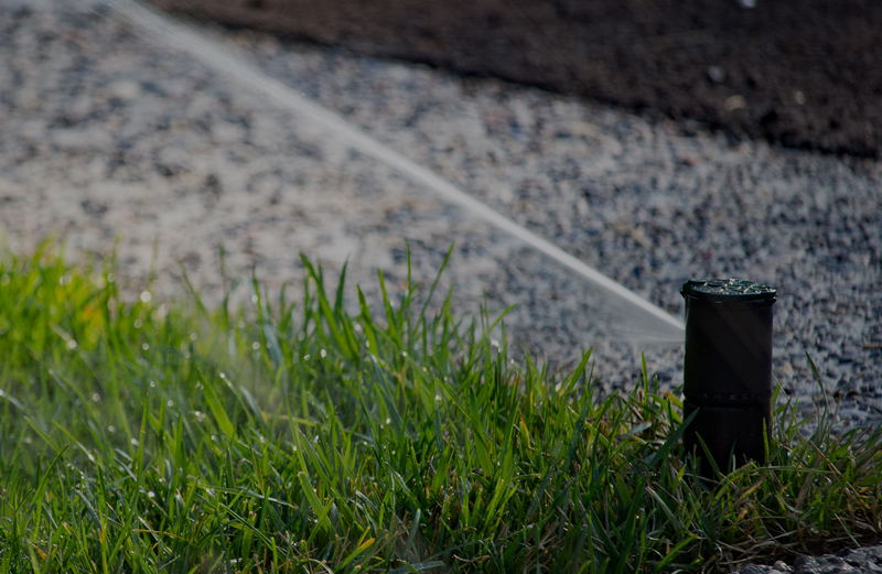 Rain Bird Drip Irrigation